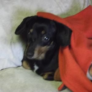 Meet your Posher, Jade